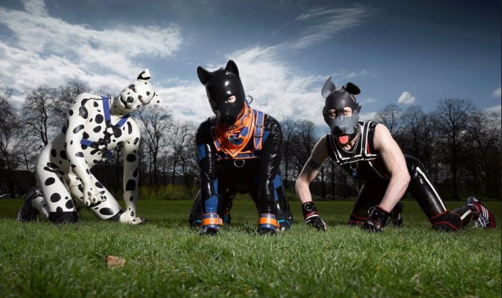 The Secret Life Of The Human Pups