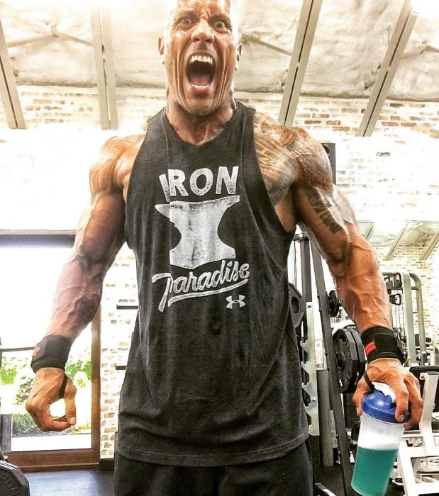 the rock