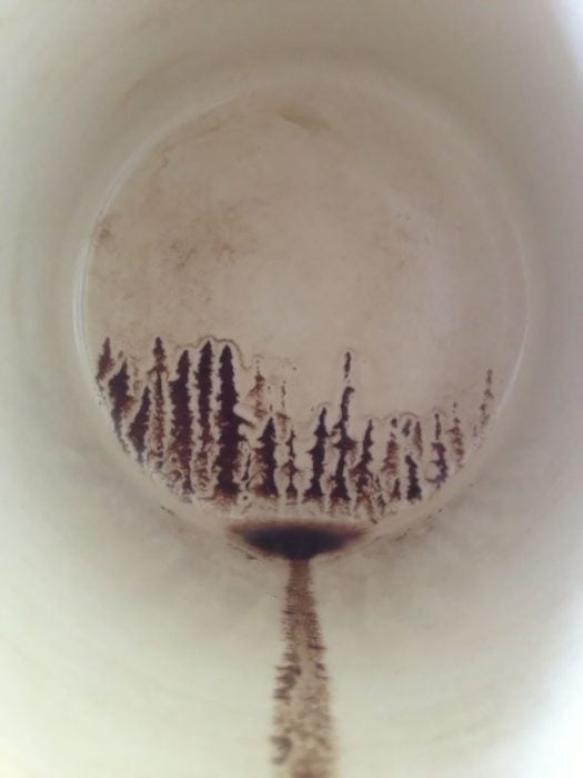 bosque en taza de cafe