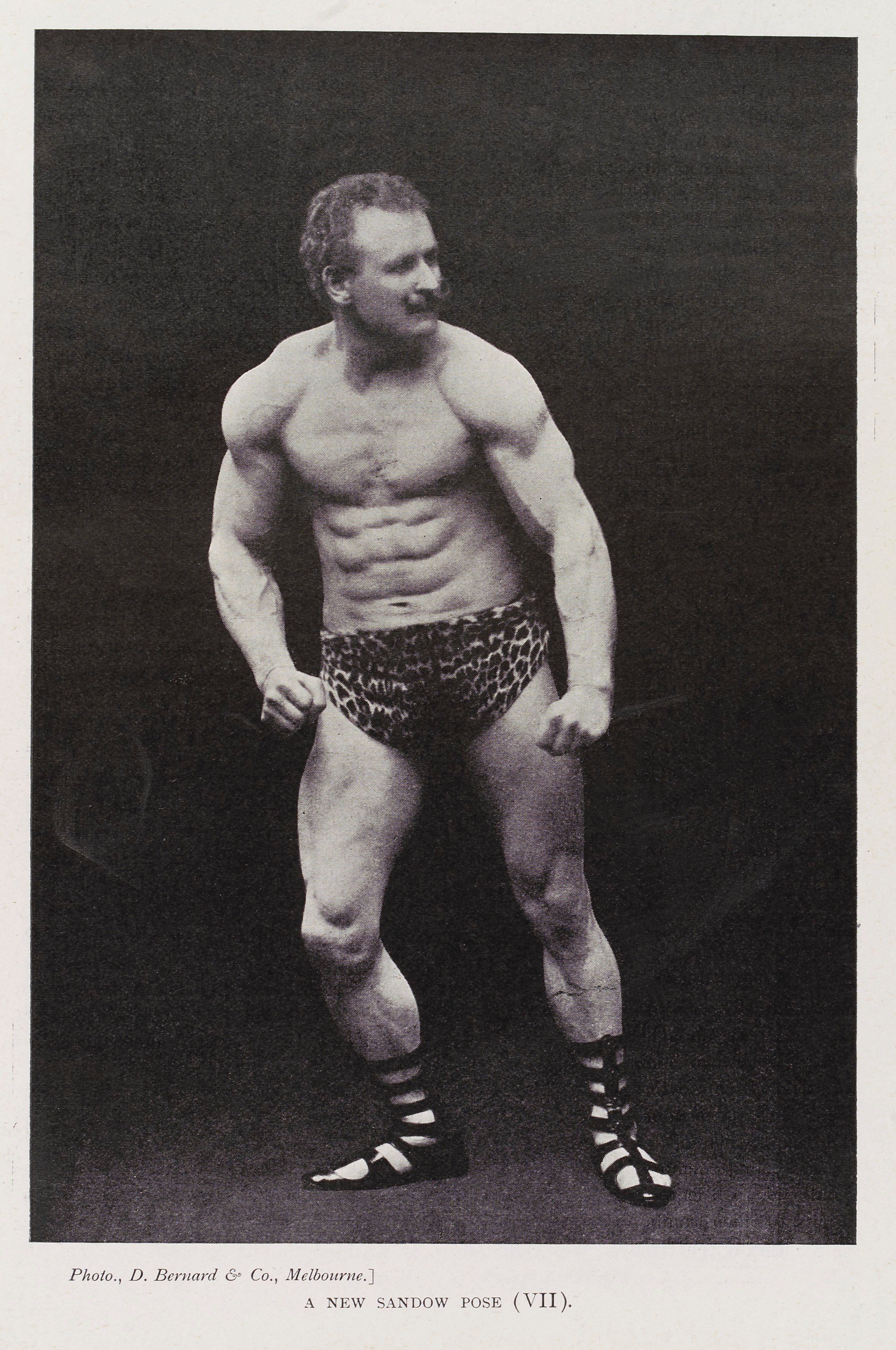 Sandow