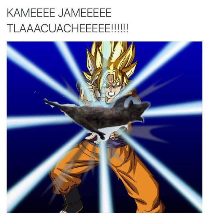 tlauache goku