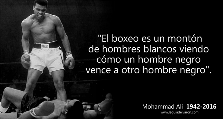 ali frase critica al box