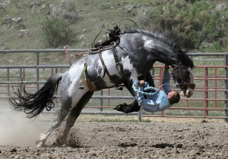 Fotografías tomadas en el momento preciso