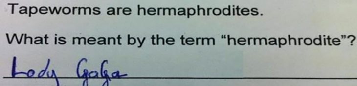 examen hermafrodita