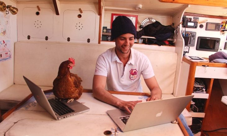 gallina en hombre en laptops