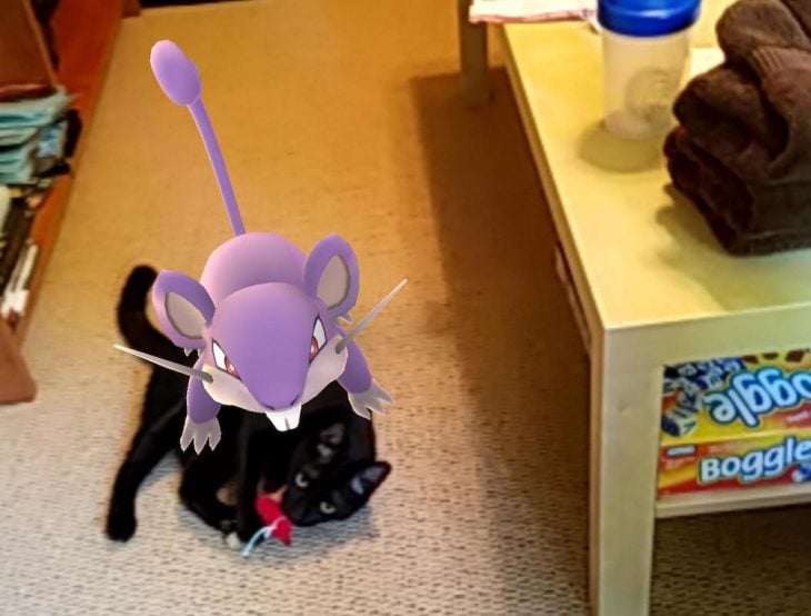 rattatta pokemon