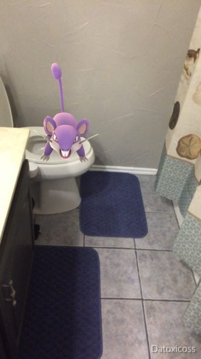 rata en baño pokemon