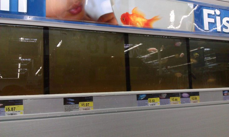 peceras en walmart