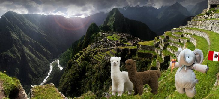 elefante en Machu Picchu