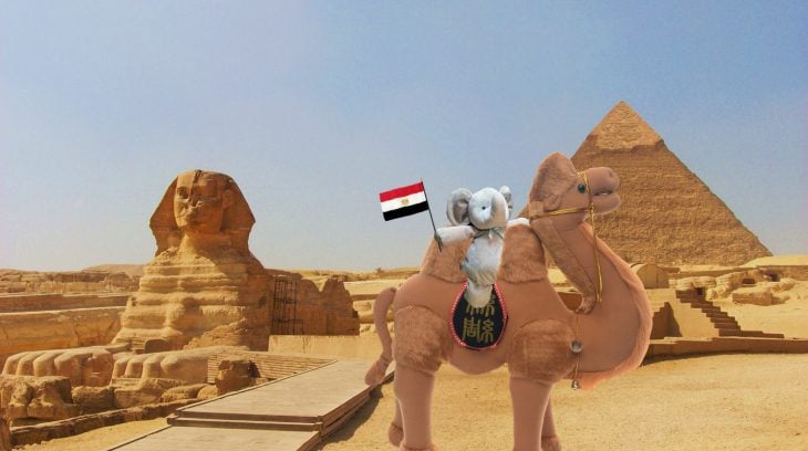 elefante egipto