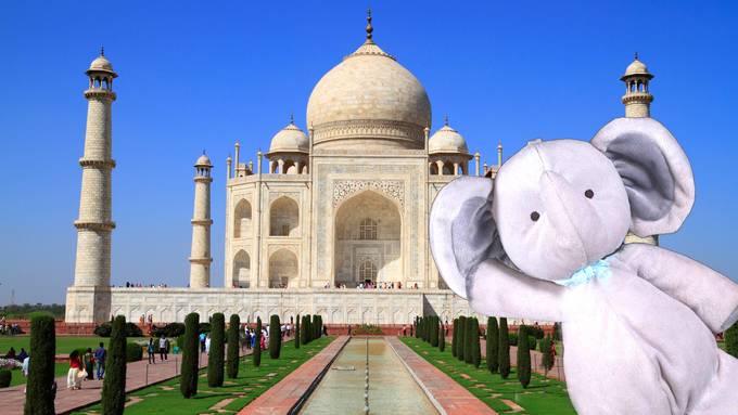 elefante Taj Mahal 