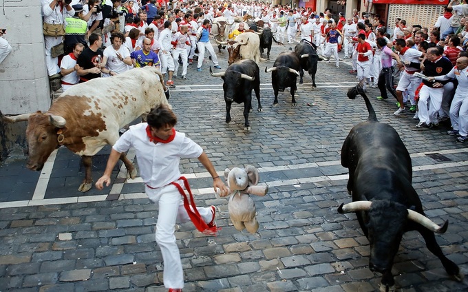 elefante Pamplona, España