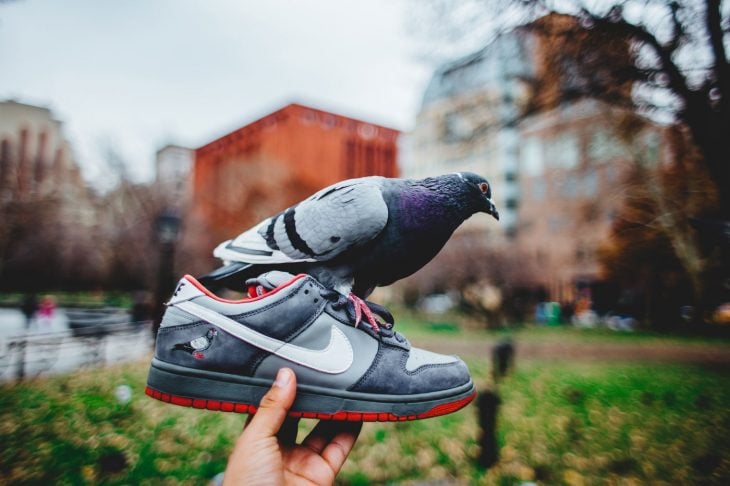 Nike SB Dunk Low Staple Pigeon 