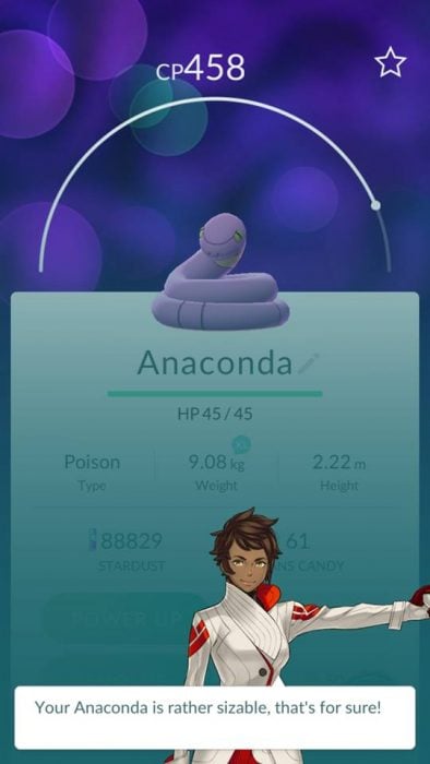 anaconda