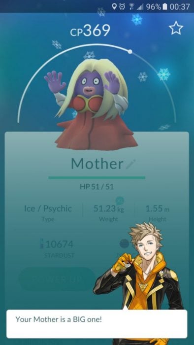 madre pokemon