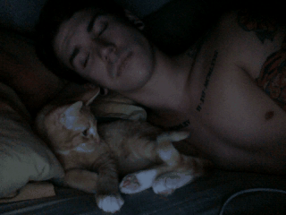 En cama con el gato