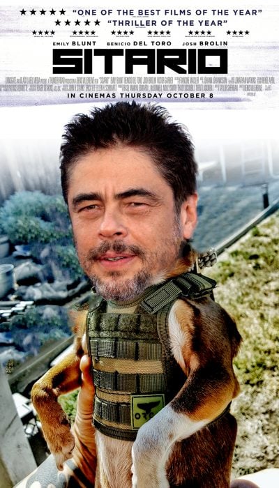 sicario al reves