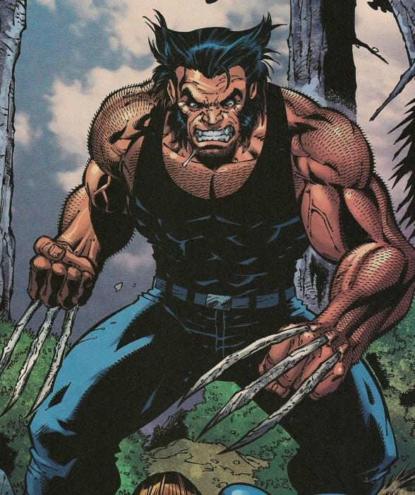 wolverine