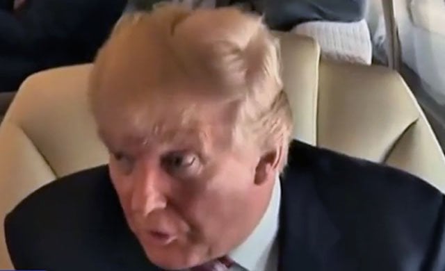 gawker trump hair