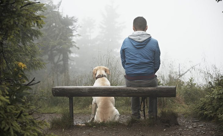 perro y hombre 