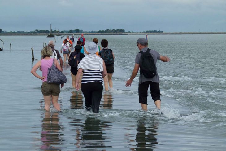 gente camina en el mar