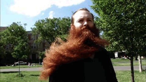 Hombre de barba muy larga