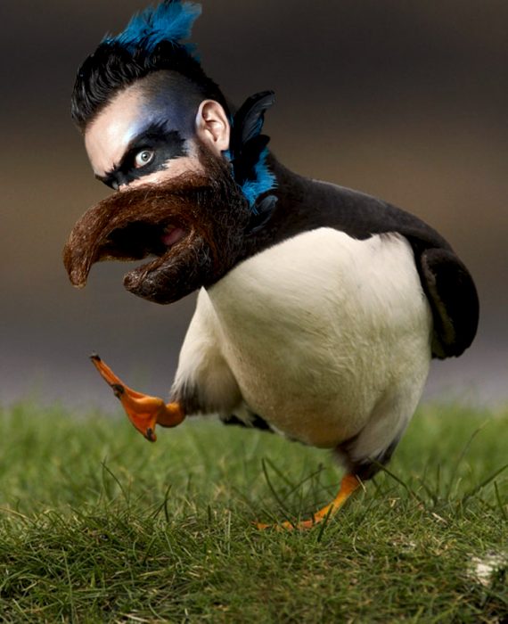 Hombre barba de pájaro en Batalla de Photoshop