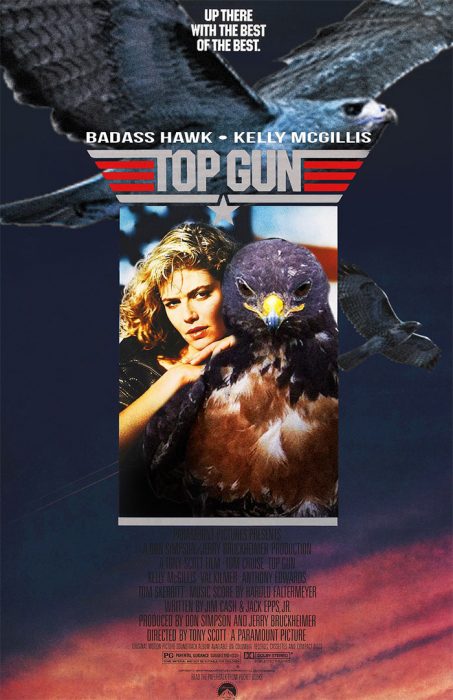 Halcon top gun