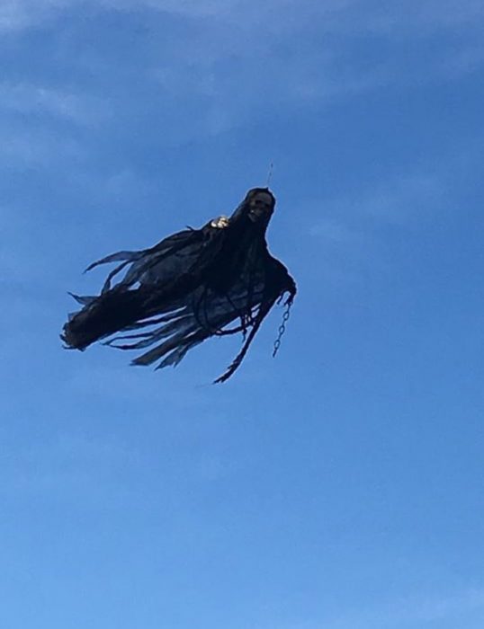 dron dementor 