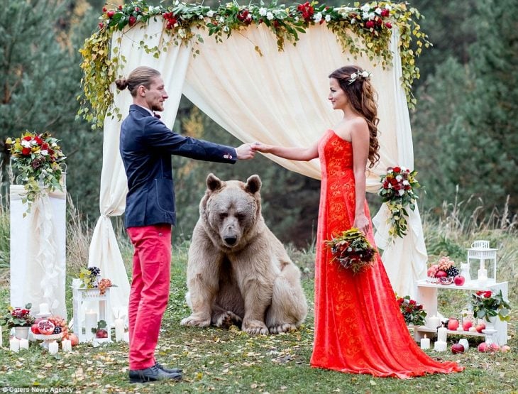 oso grizzly con moño casa a una pareja