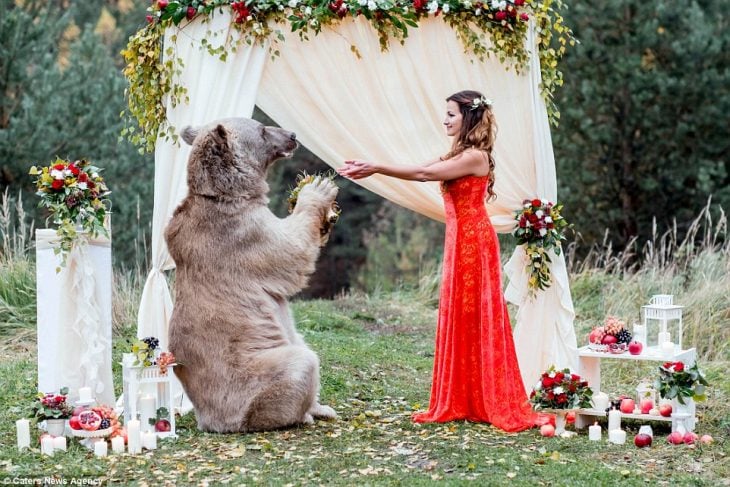 oso grizzly con moño casa a una pareja