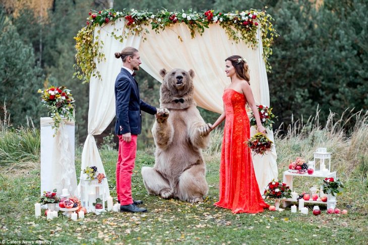 oso grizzly con moño casa a una pareja