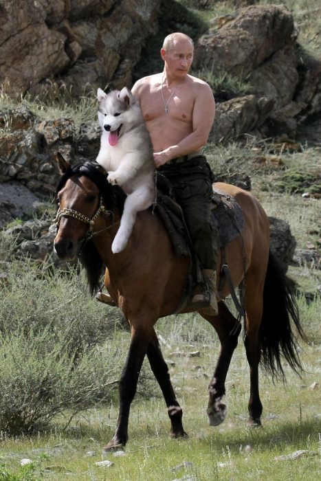 putin husky PS