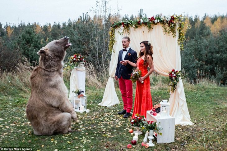 oso y pareja