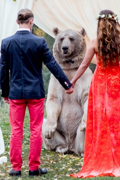 oso y pareja