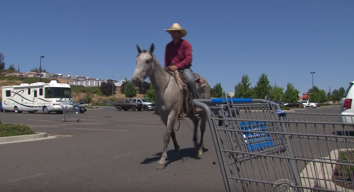 caballo vaquero