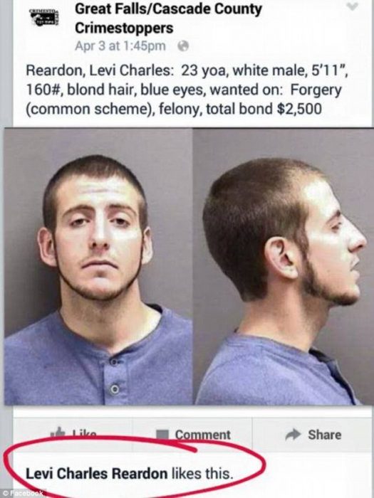 criminal facebook