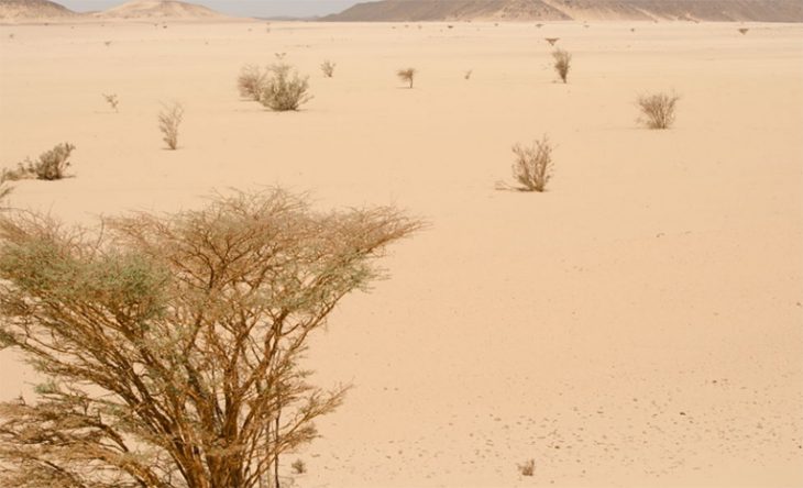 Desierto de Sudán