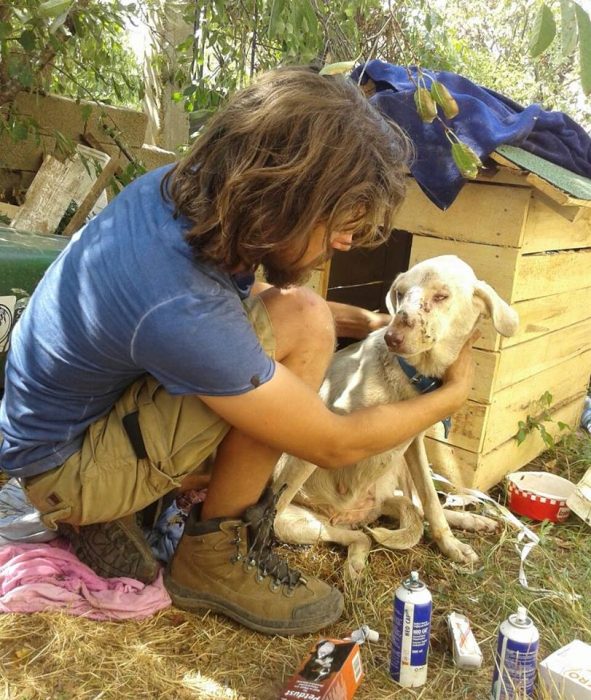 turco y perro sin hogar