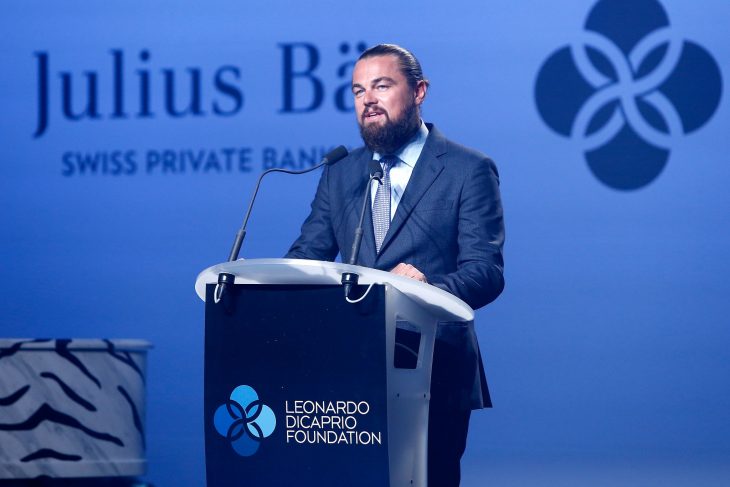 Leonardo Dicaprio Foundation