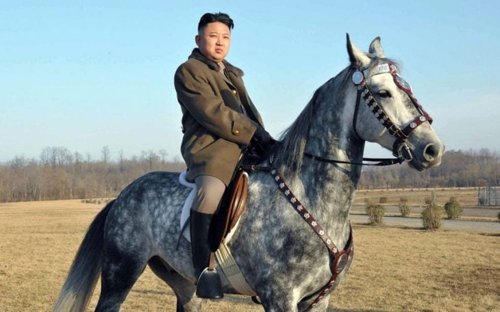 caballo kim jung