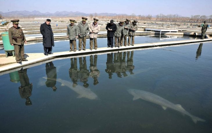 tiburones kim jung