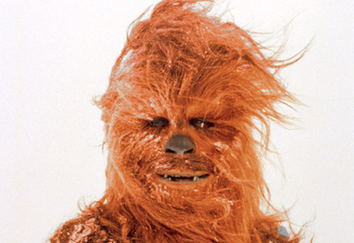 Chewbacca