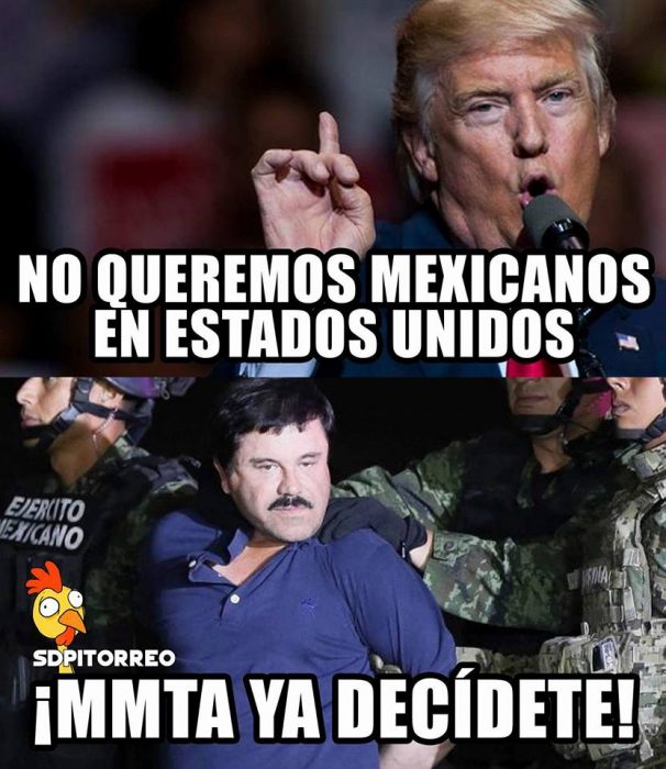 meme chapo