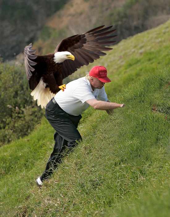 Donald Trump en Batalla de Photoshop