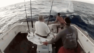 Pesca en bote