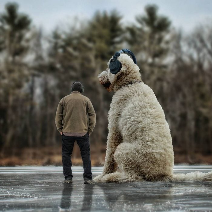 Clein y Juji esperando en el hielo