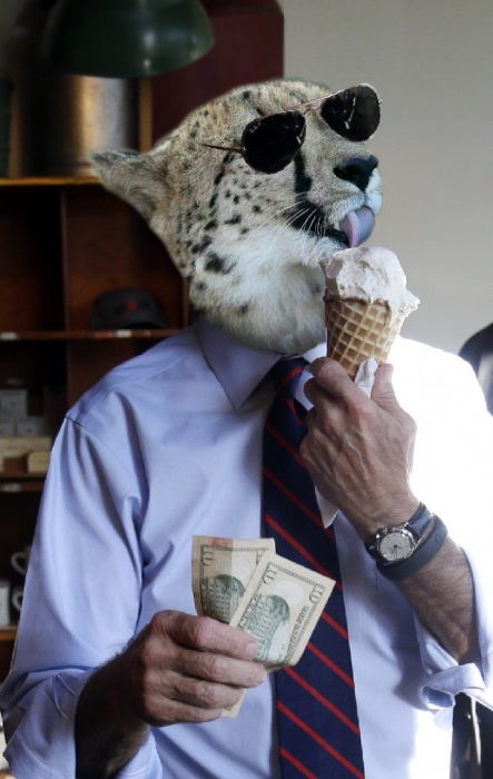 cheeta lamiendo a señor helado