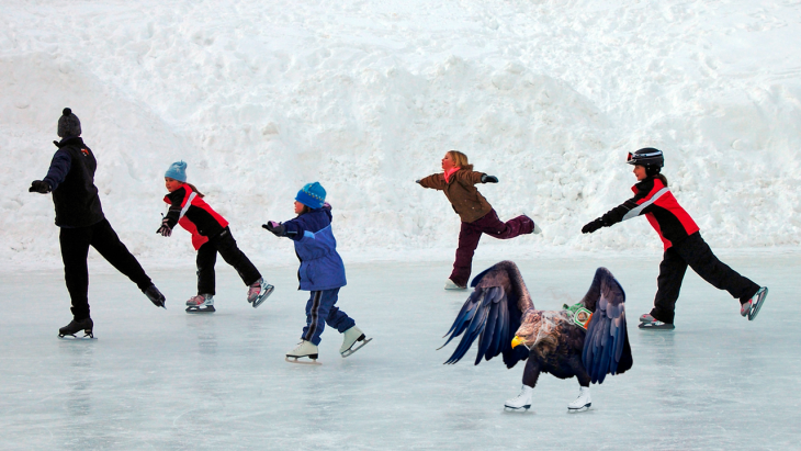 Batalla PS Águila patinando en hielo