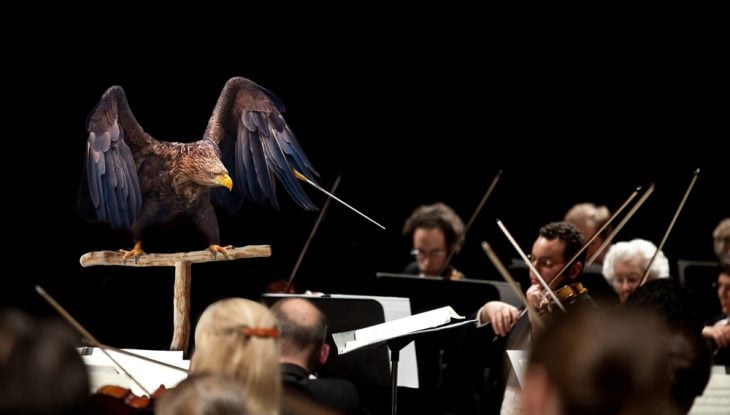 Batalla PS Águila director de orquesta 